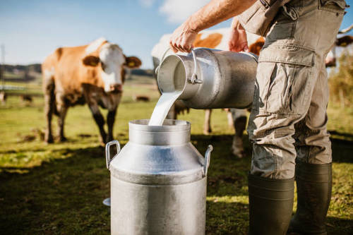 Lab-tested pure organic milk sample